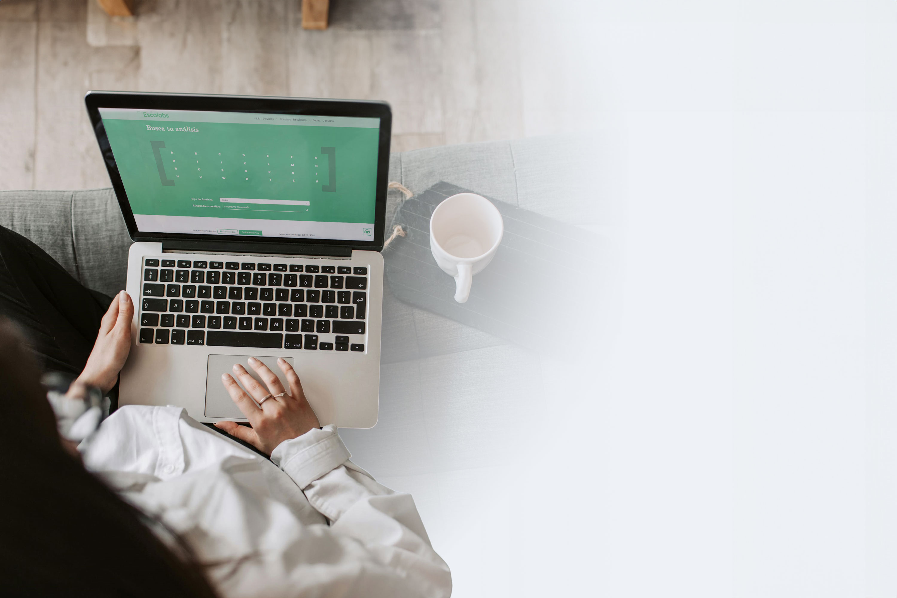 Personas realizando busqueda online, busqueda web