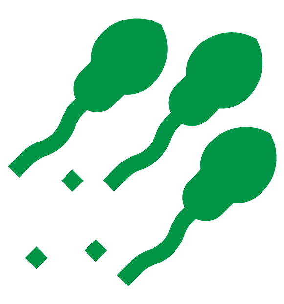 icono de espermiología